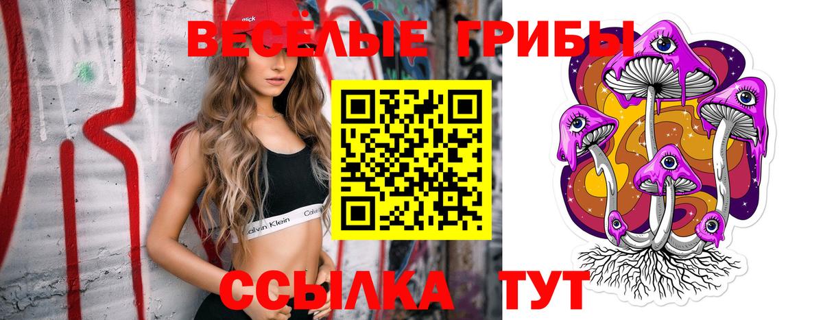 Галлюциногенные грибы мицелий Саратов